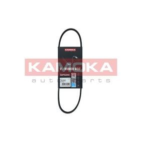 Acquista Cinghia servizi da KAMOKA 7013003 a buon mercato per soli 5,11 €