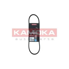 Achetez des Courroie Poly-V KAMOKA 7013005 à prix pour 5,41 €