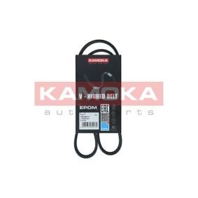 Achetez des Courroie Poly-V KAMOKA 7013017 à prix pour 8,01 €