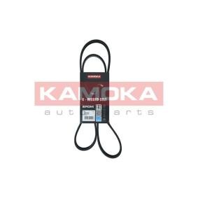 Achetez des Courroie Poly-V KAMOKA 7016138 à prix pour 16,12 €