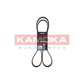 Achetez des Courroie Poly-V KAMOKA 7016141 à prix pour 15,99 €