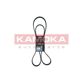 Compre Correia trapezoidal estriada da KAMOKA 7016232 a um preço baixo por 20,95 €
