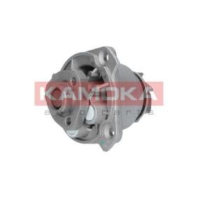 Achetez des Pompe à eau KAMOKA T0286 à prix pour 50,93 €