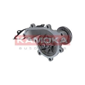 Acquista Pompa acqua da KAMOKA T0290 a buon mercato per soli 33,65 €