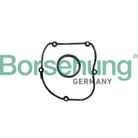Acquista Guarnizione, Coperchio carter distribuzione da Borsehung B10627 a buon mercato per soli 18,24 €