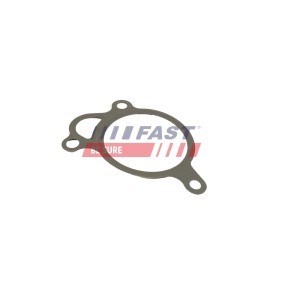 Acquista Guarnizione valvola EGR (ricircolo gas scarico) da FAST FT50605 a buon mercato per soli 3,81 €