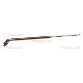 Achetez des Vérin de coffre TRISCAN 8710 42212 à prix pour 40,15 €