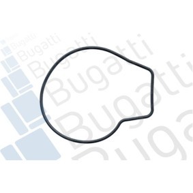 Achetez des Pompe à eau BUGATTI PA0503 à prix pour 112,75 €
