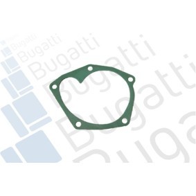 Achetez des Pompe à eau BUGATTI PA5902 à prix pour 152,68 €