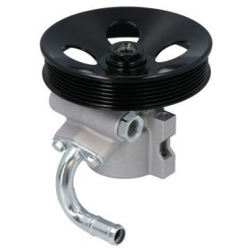 Osta Ohjaustehostimen pumppu ENERGY:llä PW680949 edullisesti hintaan 114,76 €