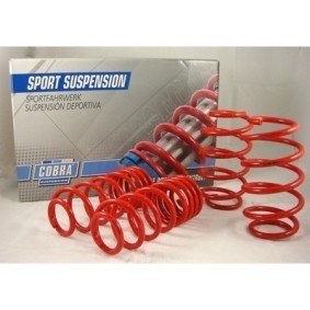Køb Chassissæt, fjedre af Cobra Suspension 20.9902 til den lave pris 1387,11 DKK