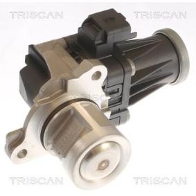 Acquista Valvola EGR da TRISCAN 8813 10053 a buon mercato per soli 321,06 €