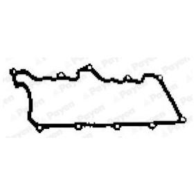 Acquista Guarnizione, Copritestata da PAYEN JN777 a buon mercato per soli 14,42 €