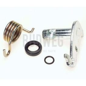 Comprar Kit reparación, palanca freno detención (pinza freno) de BUDWEG CALIPER 209913 a bajo precio de 27,01 €