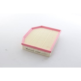 Luftfilter des Herstellers BSG - Originalware Artikelnummer: BSG 15-135-037