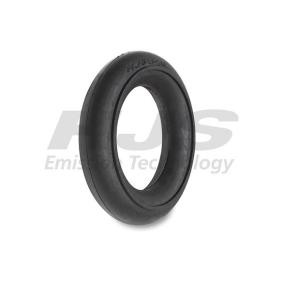 Compre Anel de fixação, silenciador da HJS 83 14 1601 a um preço baixo por 2,30 €