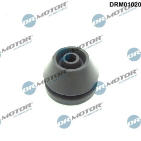 Osta Rajoitin, moottorikoppa DR.MOTOR AUTOMOTIVE:llä DRM01020 edullisesti hintaan 6,79 €