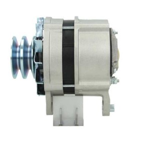 JAGUAR Lichtmaschine von BV PSH
