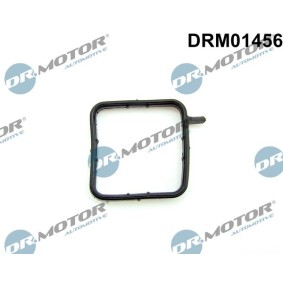 Kjøp Tetning, kjælevæskerør av DR.MOTOR AUTOMOTIVE DRM01456 til den lave prisen 100,57 NOK