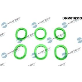 Compre Jogo de juntas, colector de admissão da DR.MOTOR AUTOMOTIVE DRM01631S a um preço baixo por 34,35 €