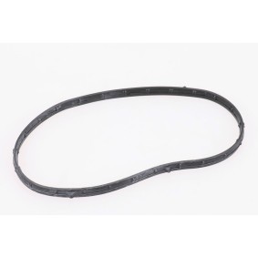 Achetez des Kit de chaîne de distribution IVECO 504380138 à prix pour 36,98 €