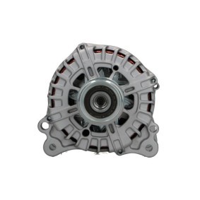 Lichtmaschine von BV PSH 485.505.220.000