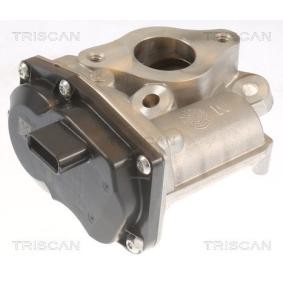 Acquista Valvola EGR da TRISCAN 8813 10055 a buon mercato per soli 308,34 €