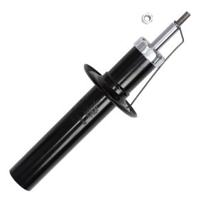 Stoßdämpfer 317333-PCS-MS