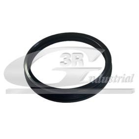 Acquista Guarnizione, Sensore livello carburante da 3RG 36702 a buon mercato per soli 6,98 €