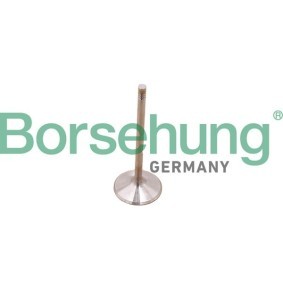 Acquista Kit fasce elastiche da Borsehung B10348 a buon mercato per soli 28,89 €