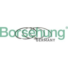 Acquista Kit fasce elastiche da Borsehung B10366 a buon mercato per soli 35,47 €