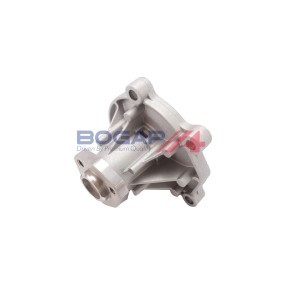 Achetez des Pompe à eau BOGAP A4234179 à prix pour 27,64 €