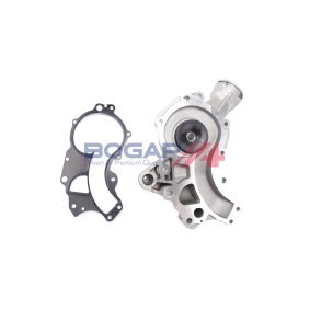 Compre Bomba de água da BOGAP C4234143 a um preço baixo por 191,67 €