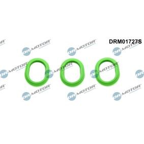 Compre Jogo de juntas, colector de admissão da DR.MOTOR AUTOMOTIVE DRM01727S a um preço baixo por 17,38 €
