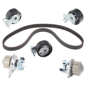 Achetez des Kit de distribution + pompe à eau RIDEX 3096W0528 à prix pour 46,29 €