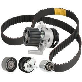 Achetez des Kit de distribution + pompe à eau RIDEX 3096W0533 à prix pour 152,80 €