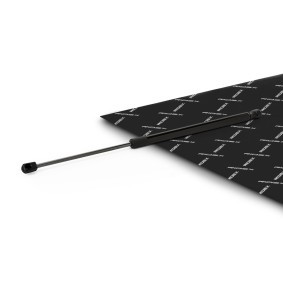 Heckklappendämpfer 219G1256 von RIDEX günstig für 8,51 € online kaufen