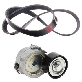 Achetez des Jeu de courroies trapézoïdales à nervures RIDEX 542R1131 à prix pour 52,95 €