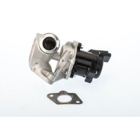 Acquista Valvola EGR da WAHLER 710929D a buon mercato per soli 106,01 €