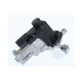 Acquista Valvola EGR da WAHLER 710977D a buon mercato per soli 115,66 €