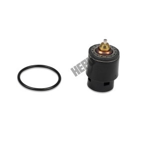 Comprar Termostato, refrigerante de HEPU TM1241 a bajo precio de 18,56 €