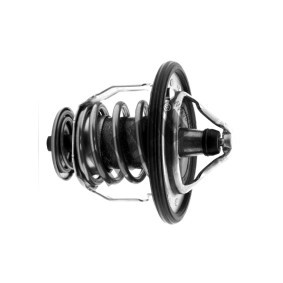 Achetez des Thermostat d'eau HEPU TM1289 à prix pour 30,32 €