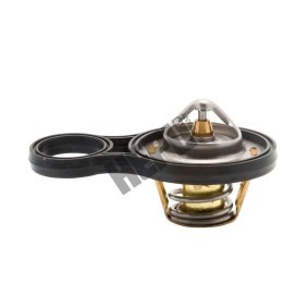 Achetez des Thermostat d'eau HEPU TM1293 à prix pour 18,15 €