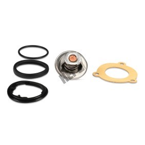 Achetez des Thermostat d'eau HEPU TM1306 à prix pour 16,06 €