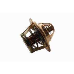 Achetez des Thermostat d'eau HEPU TM1378 à prix pour 13,10 €