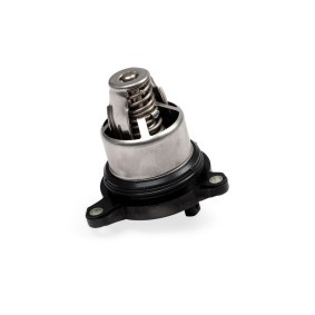 Thermostat von HEPU für Cayenne Coupe (9YB) günstig online kaufen