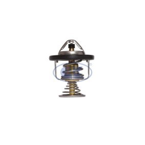 Achetez des Thermostat d'eau GK 701287 à prix pour 28,09 €