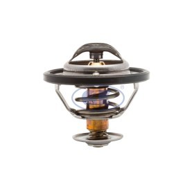 Achetez des Thermostat d'eau GK 701290 à prix pour 31,19 €