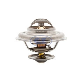 Achetez des Thermostat d'eau GK 701294 à prix pour 28,64 €