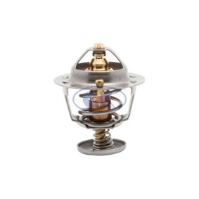 Achetez des Thermostat d'eau GK 701300 à prix pour 25,01 €